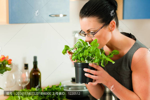 廚房里的女人