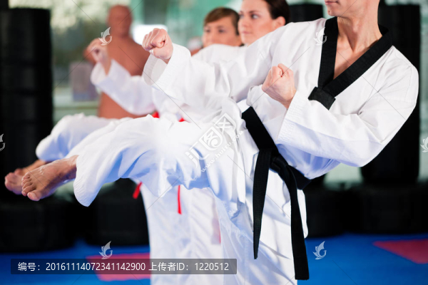 武術(shù)運動訓練