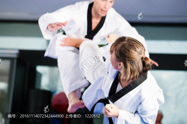 武術(shù)運(yùn)動(dòng)訓(xùn)練