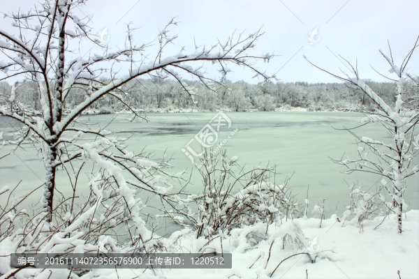 伊利諾斯雪湖降雪