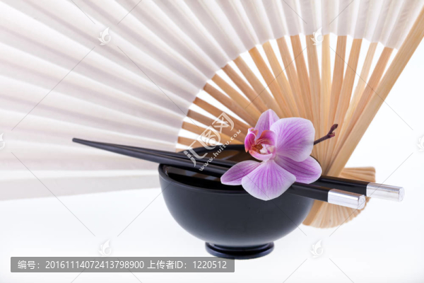 亞洲還是生活的蘭花