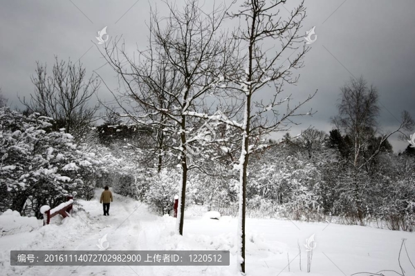 下雪的冬天