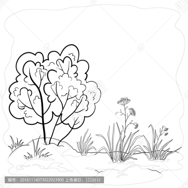 帶有布什的花園；輪廓