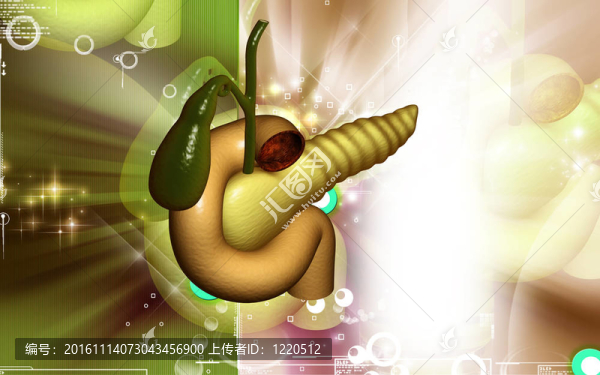 胰腺
