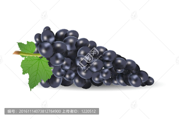 葡萄葉
