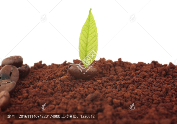 概念咖啡-匯圖網(wǎng) www.fosd68.com 概念咖啡