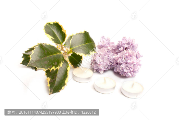 明亮輕松的水療概念