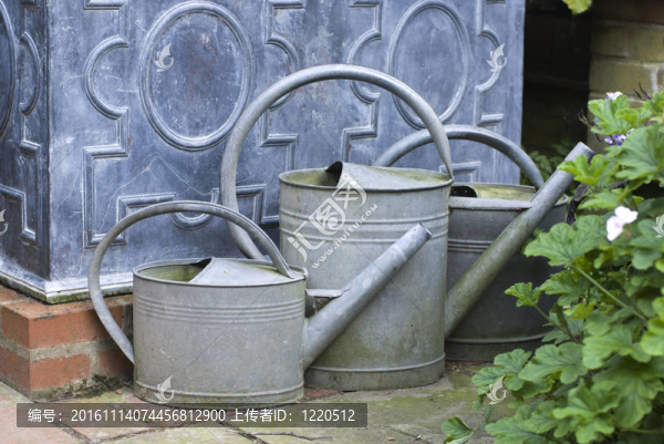 英語澆水罐