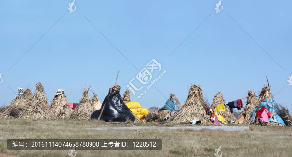 游牧的小屋