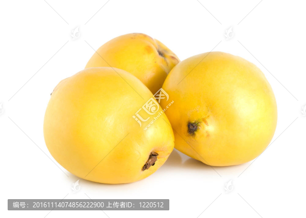 三榅桲