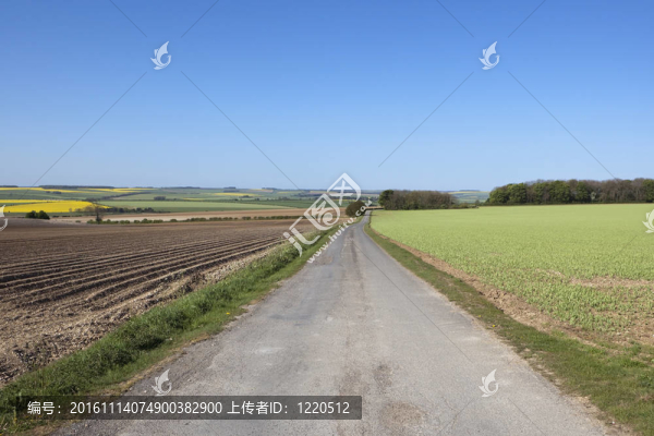 英國風景