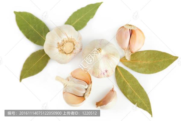 新鮮大蒜和干月桂