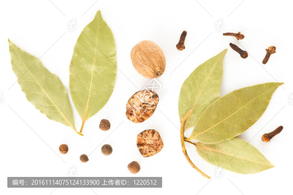 香料.不同干草藥混合