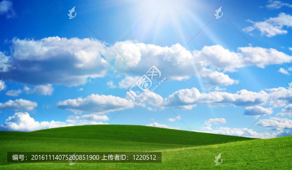 綠地和藍天