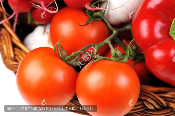 新鮮蔬菜