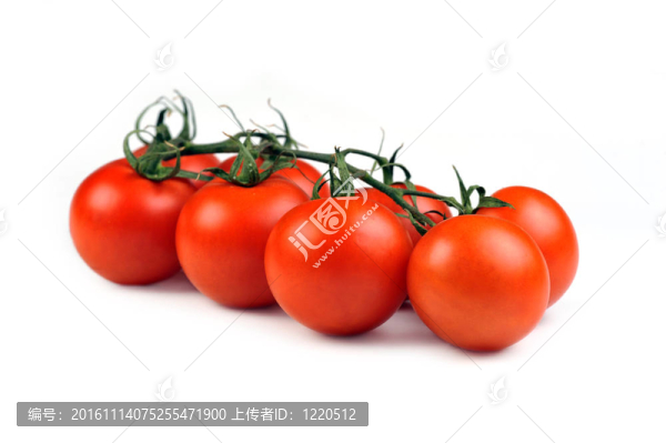 西紅柿