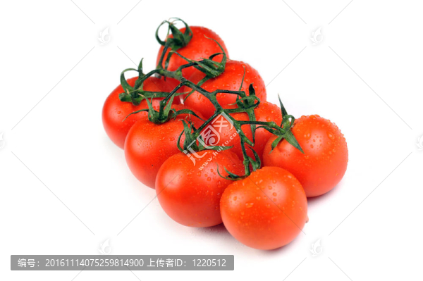 新鮮的西紅柿