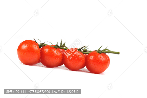 新鮮的西紅柿