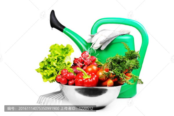 澆水罐和蔬菜。