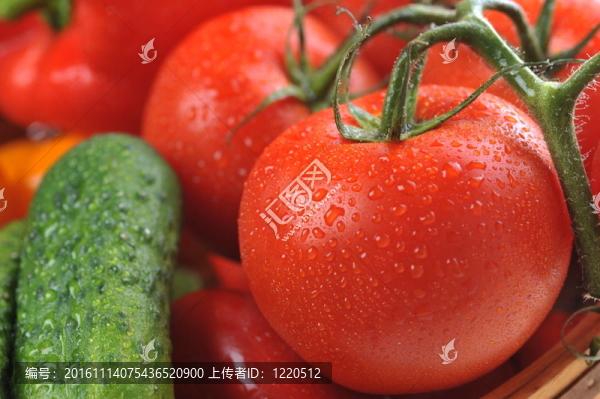 菜籃子里的蔬菜