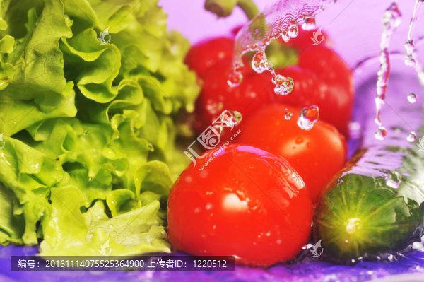 番茄；黃瓜和飛濺