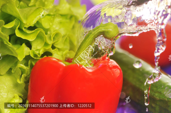 番茄；黃瓜和飛濺