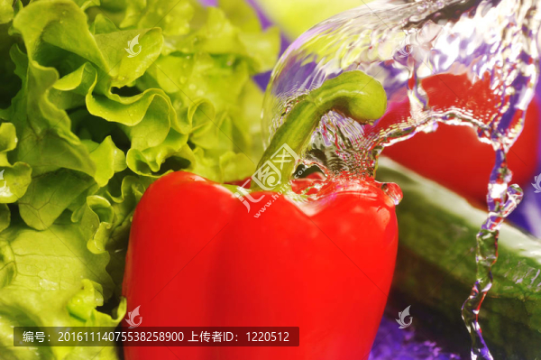 番茄；黃瓜和飛濺
