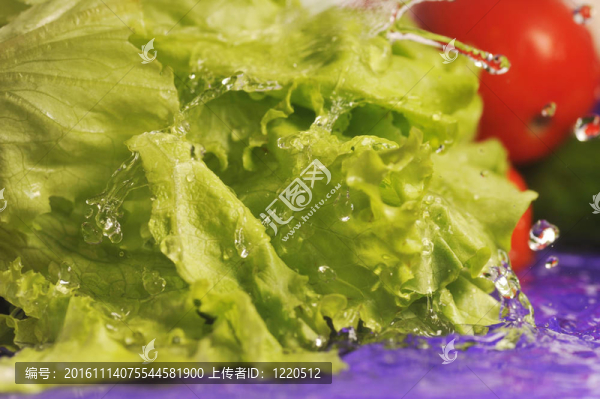 番茄；黃瓜和飛濺