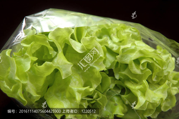 綠色沙拉