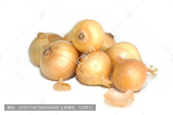洋蔥白