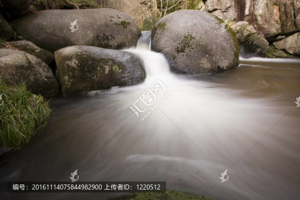 森林中的河流