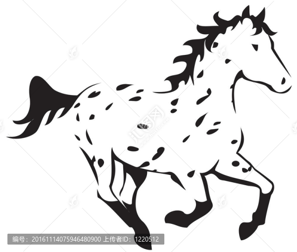 豹Appaloosa
