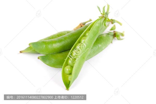 成熟的豌豆