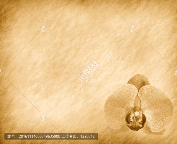 復(fù)古壁紙背景蘭花