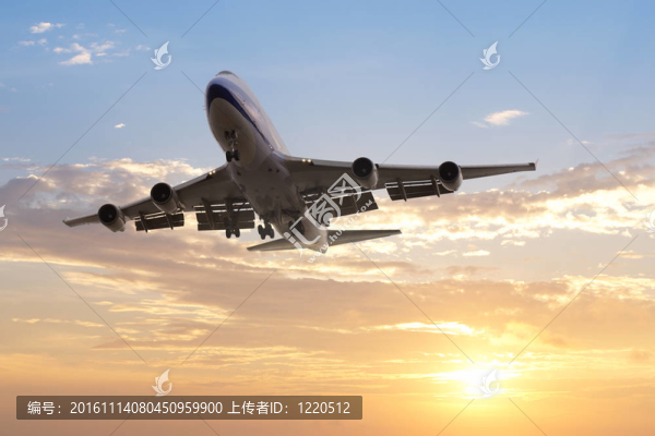 飛機