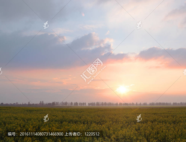 尋找一個鄉(xiāng)村的波蘭景觀
