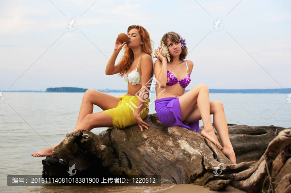 日志上的女孩