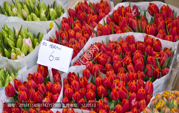 阿姆斯特丹花卉市場(chǎng)中的郁金香花束。