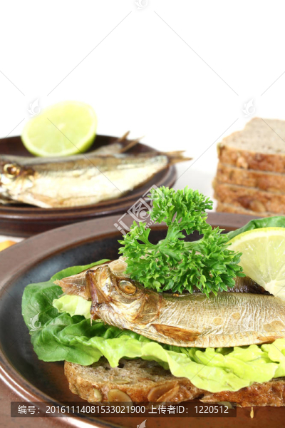 鯡魚