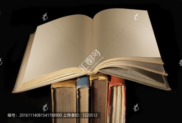 空白的打開的書