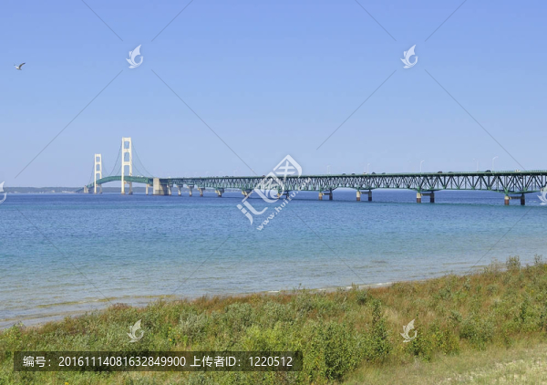 麥基諾橋湖岸邊