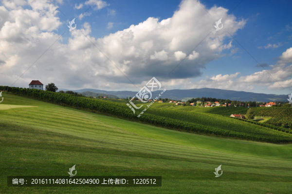 夏天的風(fēng)景