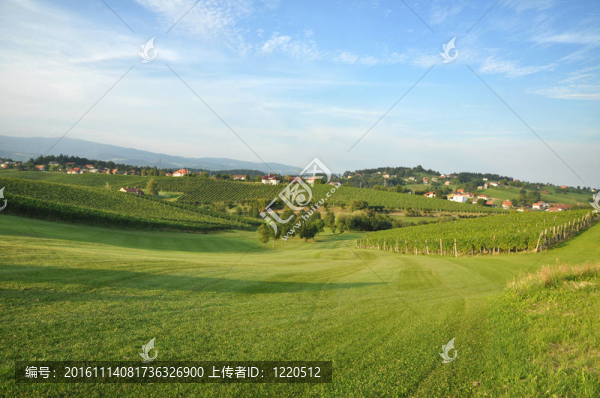 夏天的風(fēng)景