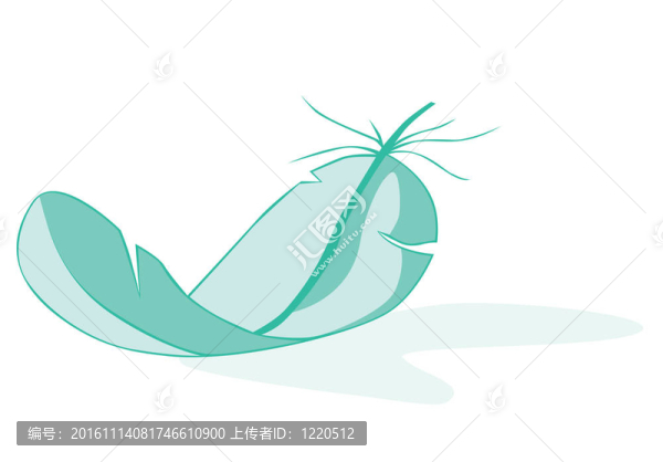白色背景上的藍(lán)色羽毛。