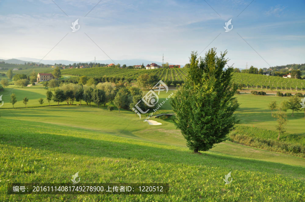 夏天的風(fēng)景