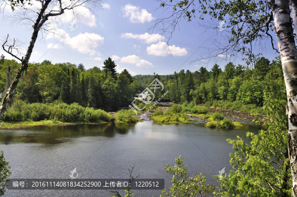 夏天的風景