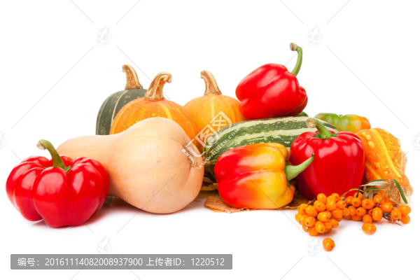 秋天的生活依然充滿了紅辣椒的維生素；南瓜；西葫蘆和成熟的沙棘漿果在白色背景