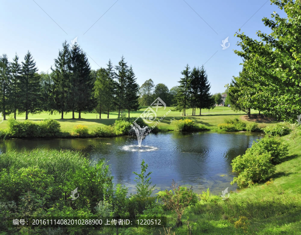 夏天的風(fēng)景