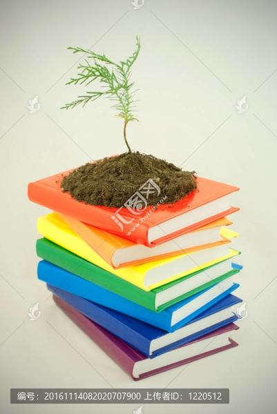 樹上的苗木堆上五顏六色的書