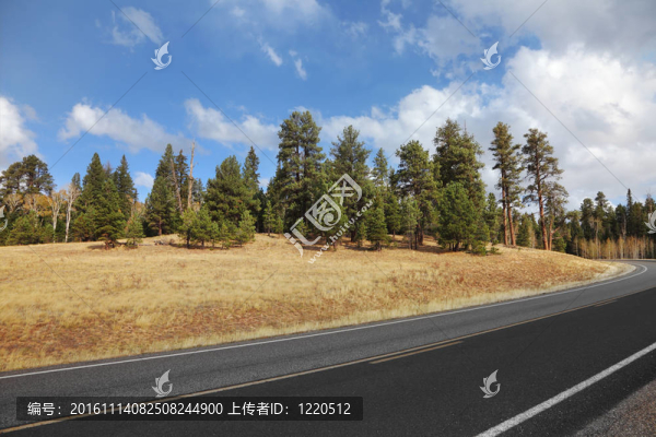 通往大峽谷的路；田野和多云的天空
